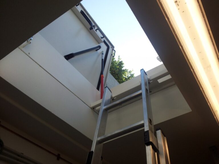 Fixed Access Ladders