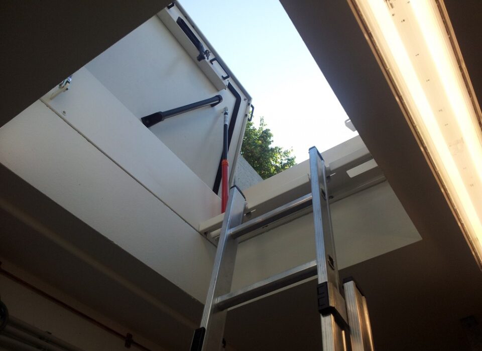 Fixed Access Ladders
